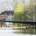 YORK